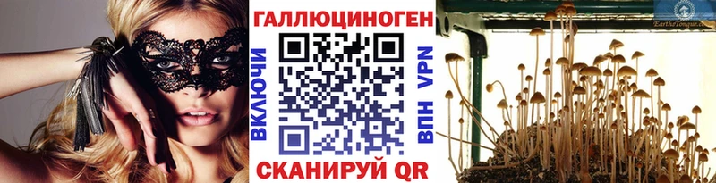 darknet клад  купить  сайты  Богородск  Псилоцибиновые грибы Cubensis 